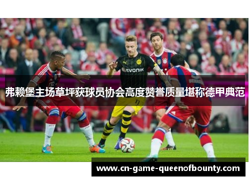 弗赖堡主场草坪获球员协会高度赞誉质量堪称德甲典范 弗赖堡主场草坪获球员协会高度赞誉质量堪称德甲典范